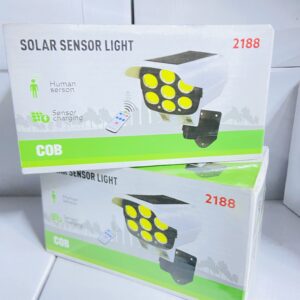 Solar Sensor Light (camera type)