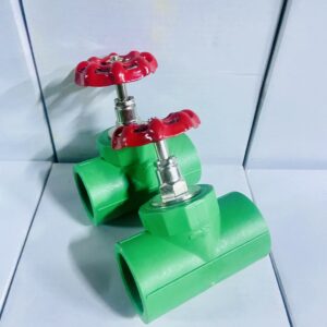 Ppr gate valve