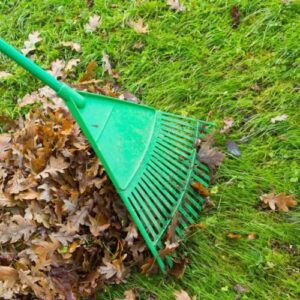 Leaf rake